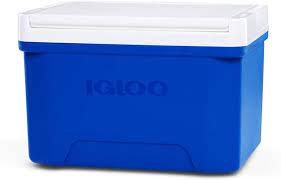 Igloo Laguna 9 Cooler – 12 Quart, Lightweight & Stylish in Majestic Blue/White, Durable Plastic Build, Easy to Clean, Perfect for Outdoor Adventures
